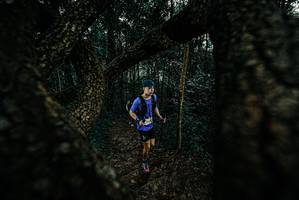 BIB: 
                            <button type="button" onclick="openModal(25677566)" class="btn btn-primary btn-sm float-right btn-popup" data-toggle="modal" data-target=".modal-high-quality">
                        <i class="fas fa-shopping-cart"></i> Add to Cart
                    </button>
                                            <button type="button" onclick="isThisMe(25677566, true)" class="btn btn-success btn-sm float-right btn-popup btn-isme hidden" data-toggle="tooltip" data-placement="bottom" title="นี่คือรูปของคุณใช่ไหม คลิกที่นี่เพื่อเอาเข้าอัลบั้ม">
                        <i class="fas fa-plus"></i> Add to album
                    </button>
                    <button type="button" onclick="isThisMe(25677566, false)" class="btn btn-warning btn-sm float-right btn-popup btn-isnotme hidden">
                        <i class="fas fa-ban"></i> Remove from album
                    </button>